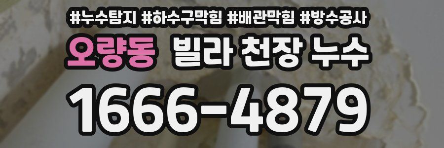 오량동 빌라 천장 누수