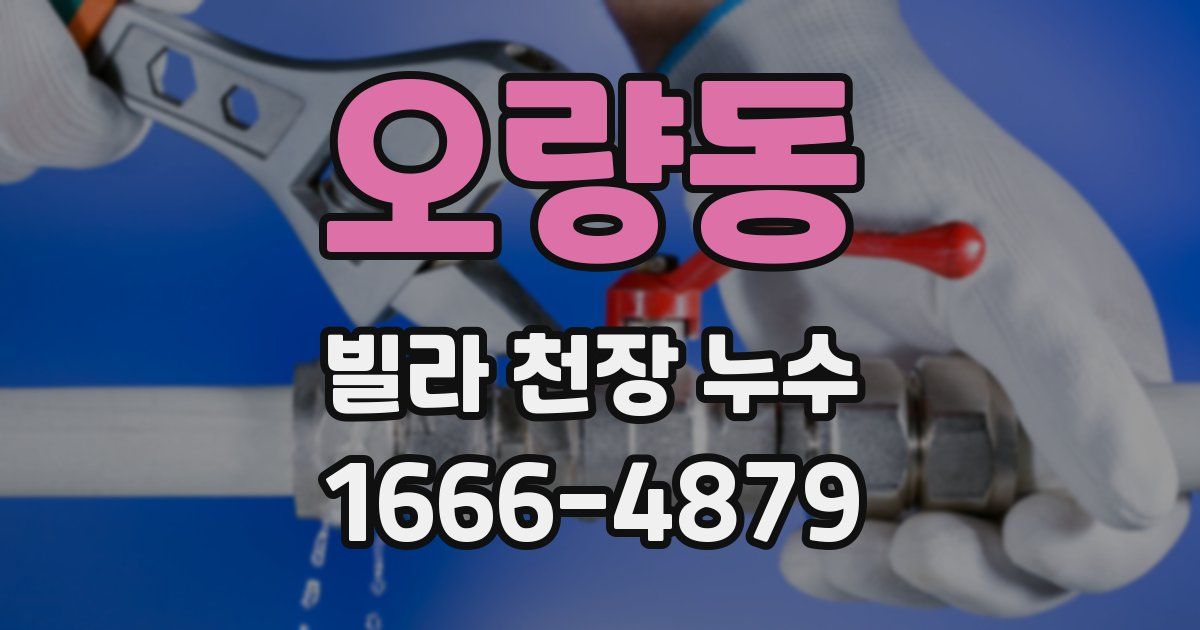 오량동 빌라 천장 누수