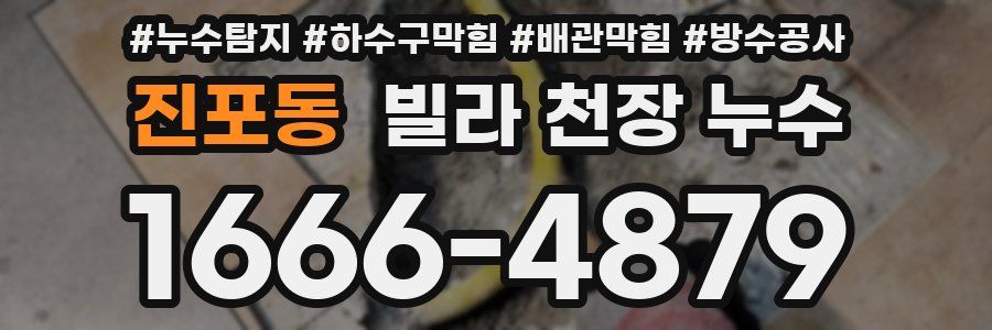 진포동 빌라 천장 누수