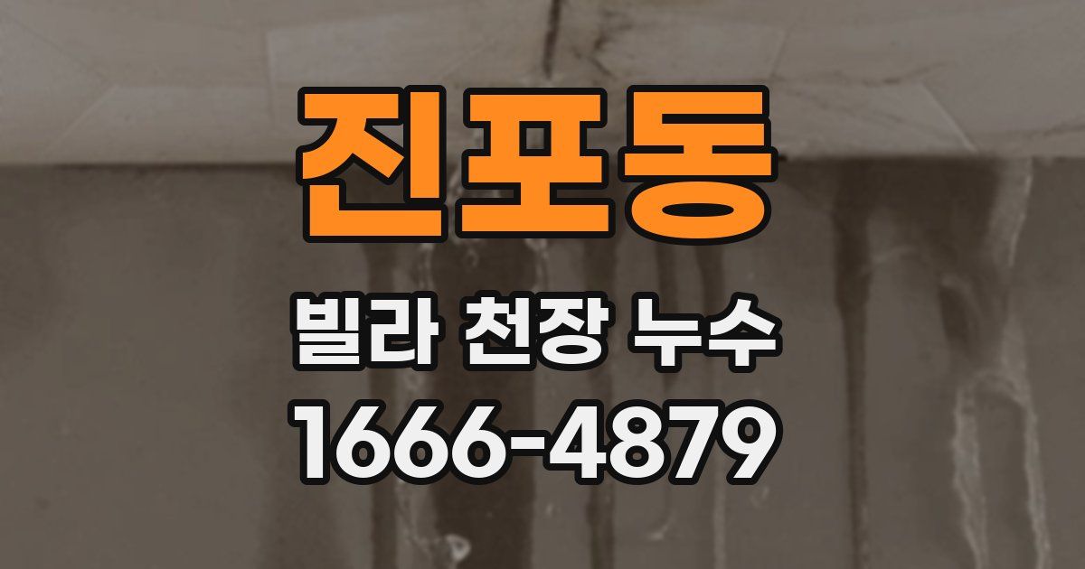 진포동 빌라 천장 누수