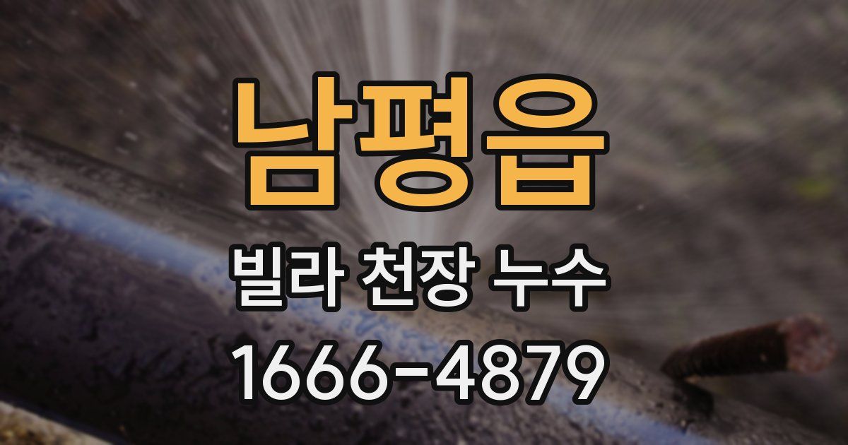 남평읍 빌라 천장 누수