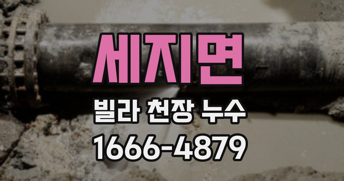 세지면 빌라 천장 누수