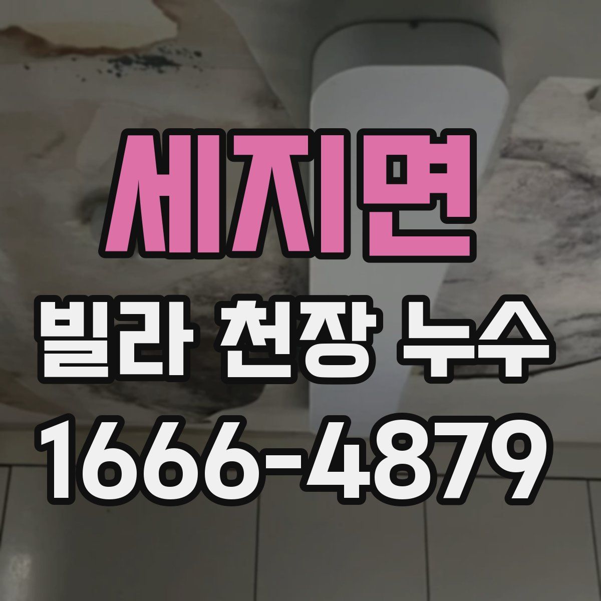 세지면 빌라 천장 누수