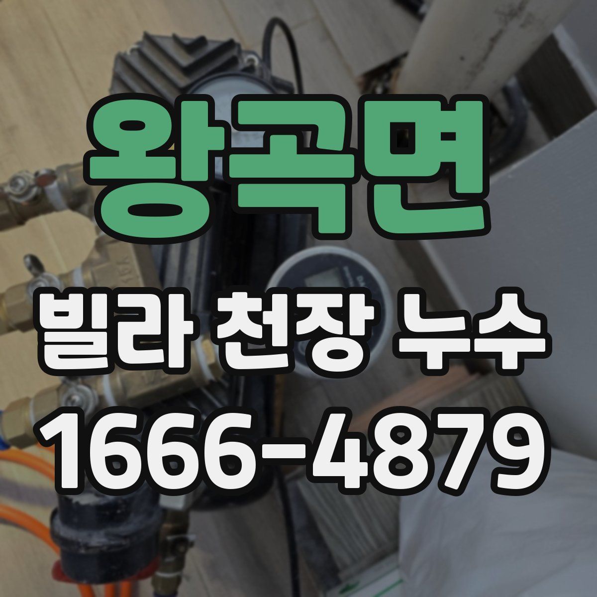 왕곡면 빌라 천장 누수