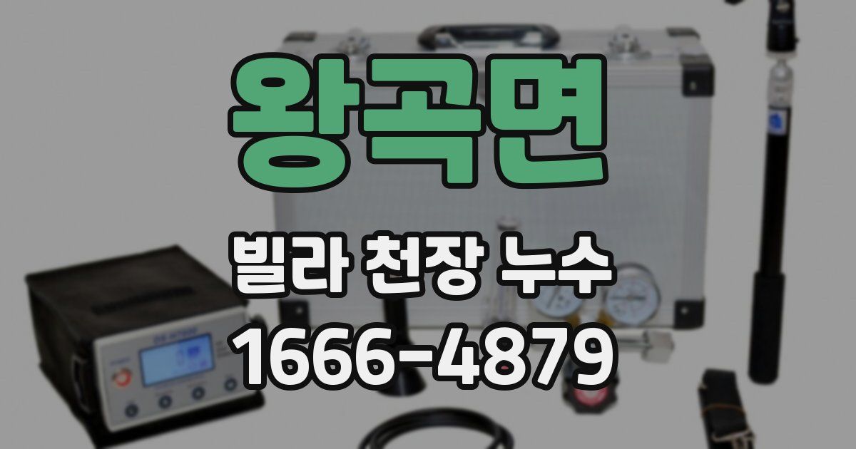 왕곡면 빌라 천장 누수