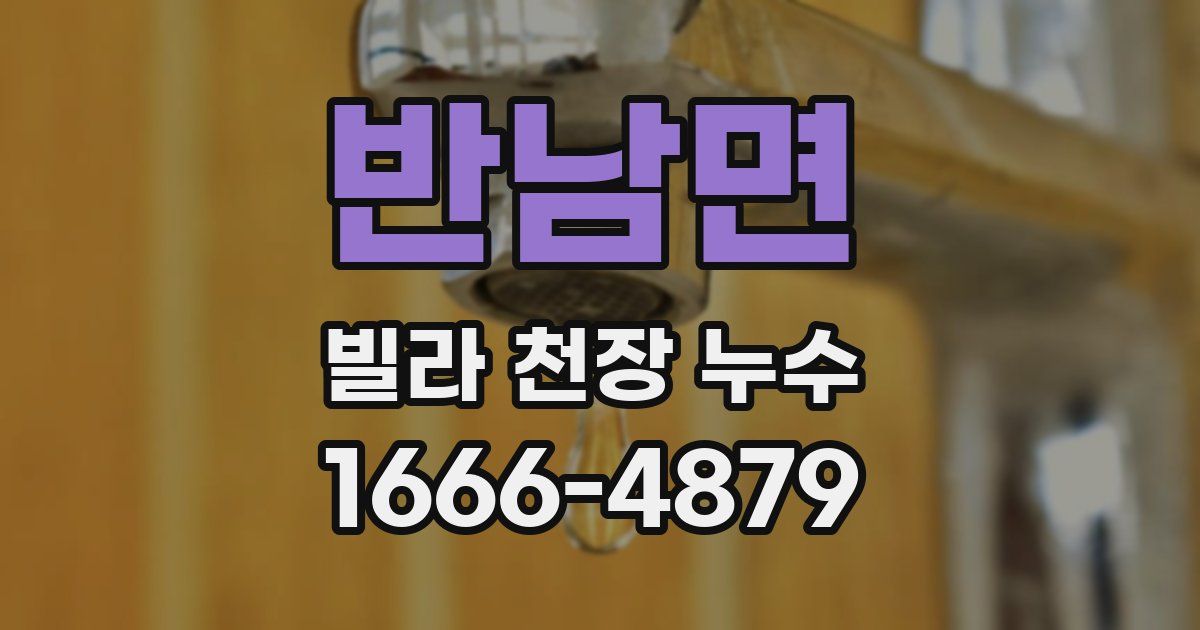 반남면 빌라 천장 누수