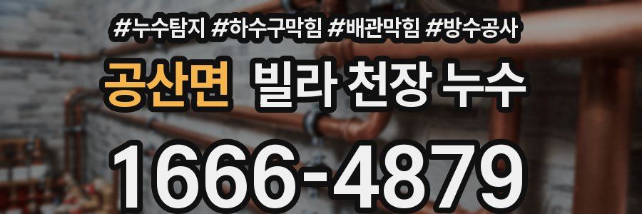 공산면 빌라 천장 누수