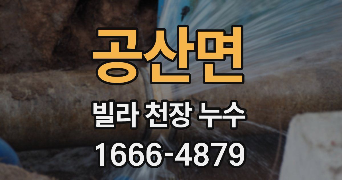 공산면 빌라 천장 누수