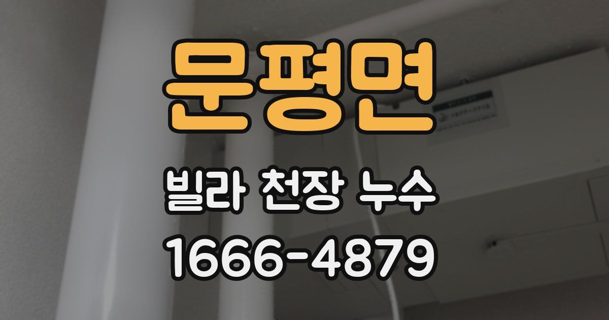 문평면 빌라 천장 누수