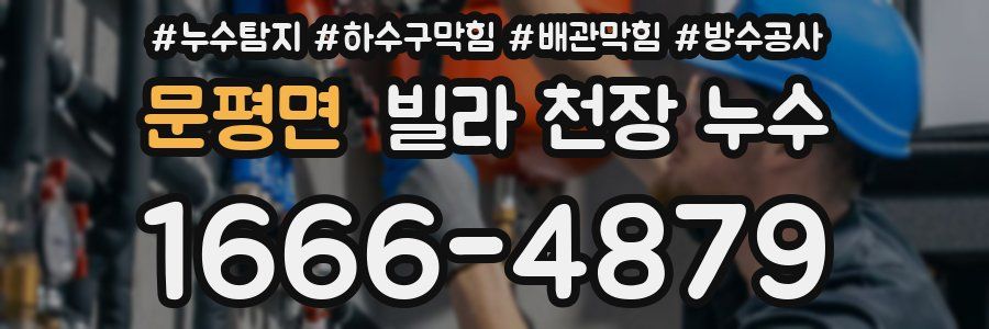 문평면 빌라 천장 누수