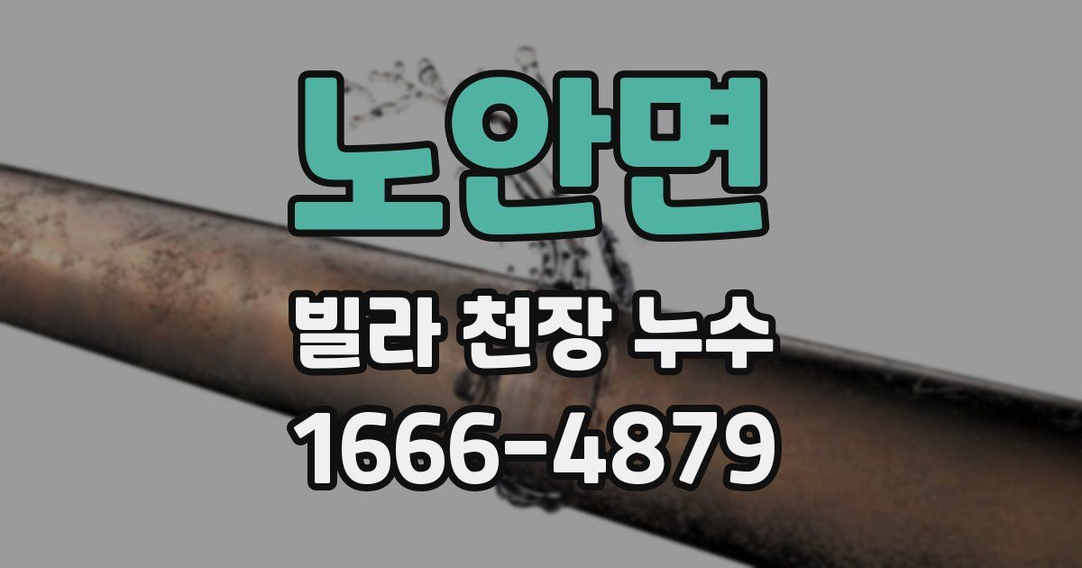 노안면 빌라 천장 누수