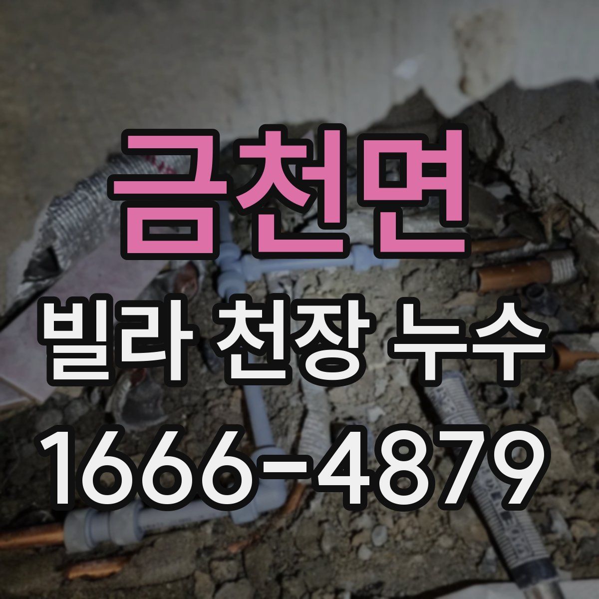 금천면 빌라 천장 누수