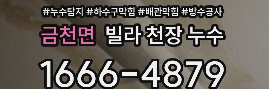 금천면 빌라 천장 누수