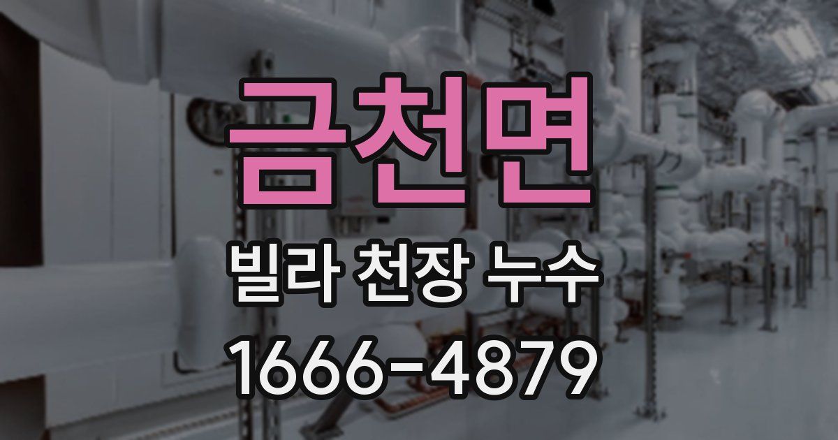 금천면 빌라 천장 누수