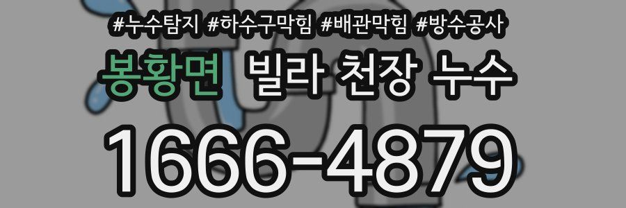 봉황면 빌라 천장 누수