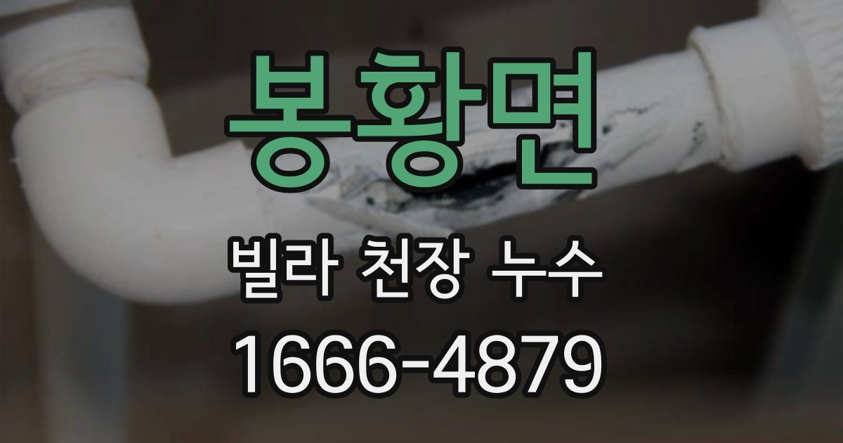 봉황면 빌라 천장 누수