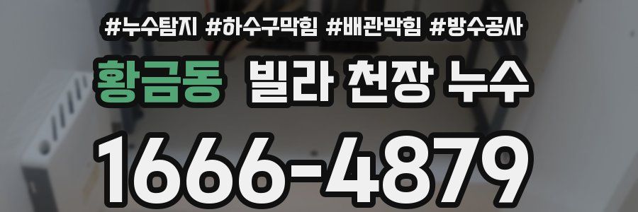황금동 빌라 천장 누수