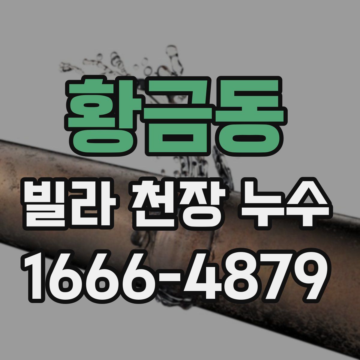 황금동 빌라 천장 누수