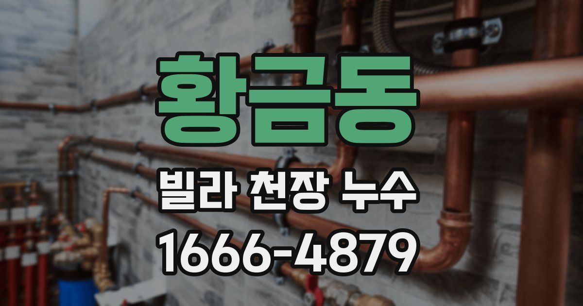 황금동 빌라 천장 누수