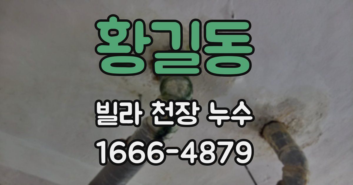 황길동 빌라 천장 누수