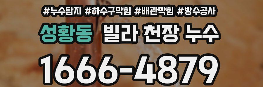 성황동 빌라 천장 누수