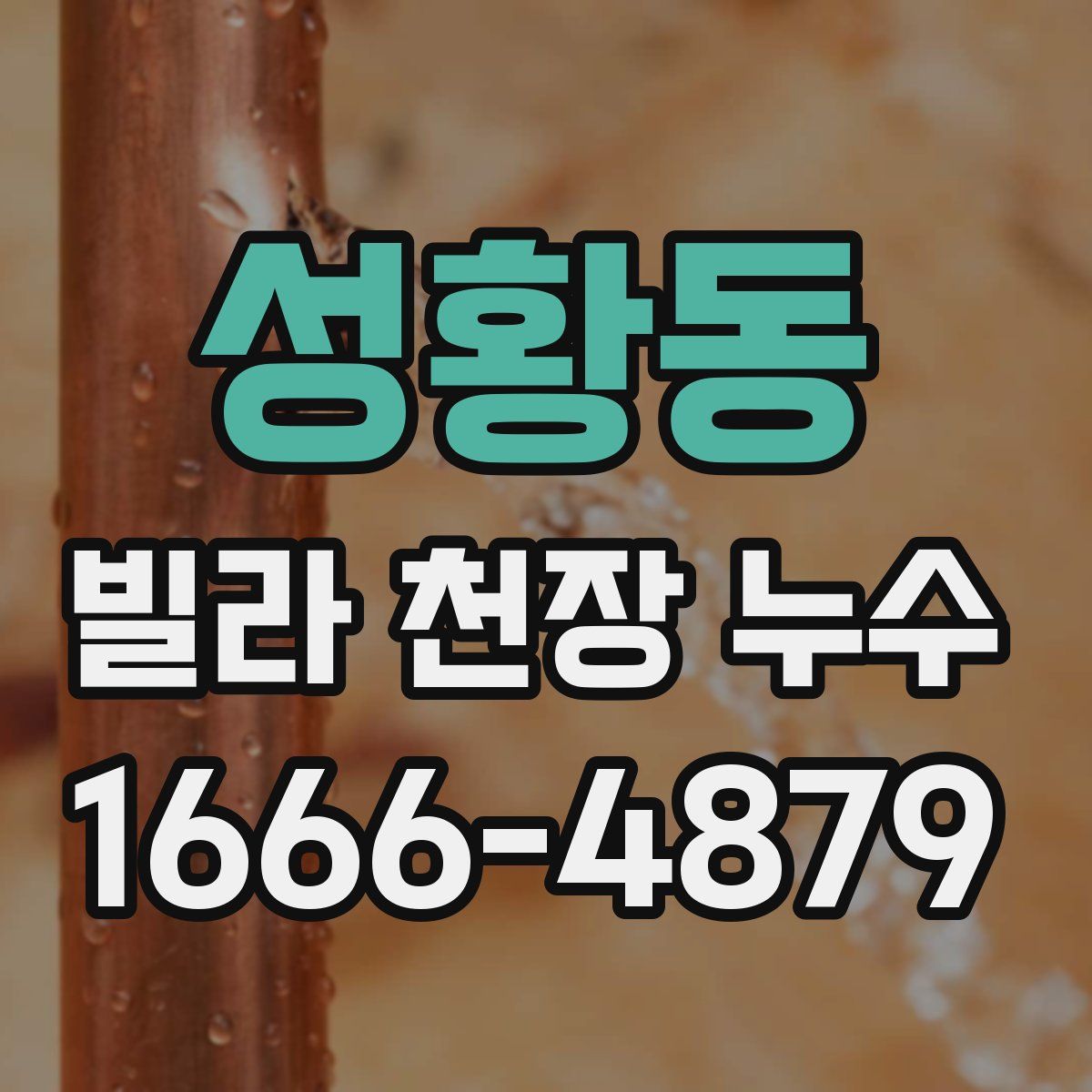 성황동 빌라 천장 누수