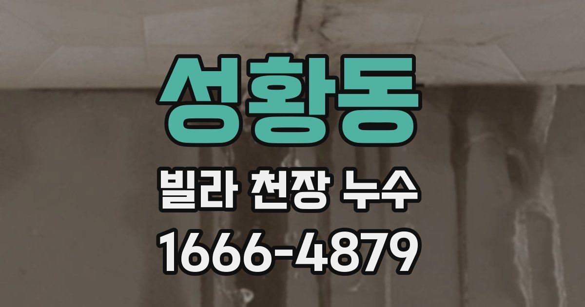 성황동 빌라 천장 누수