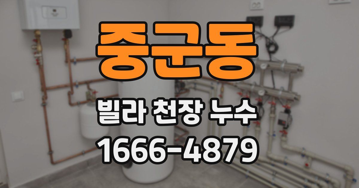 중군동 빌라 천장 누수