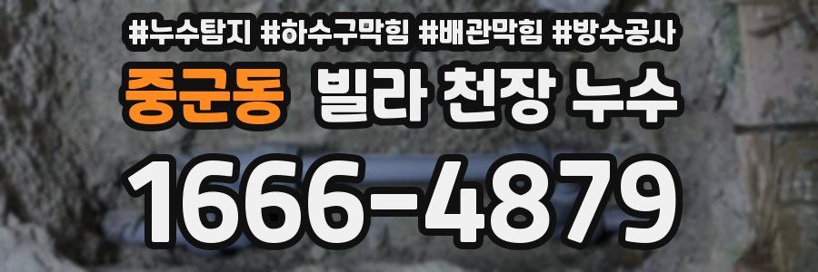 중군동 빌라 천장 누수