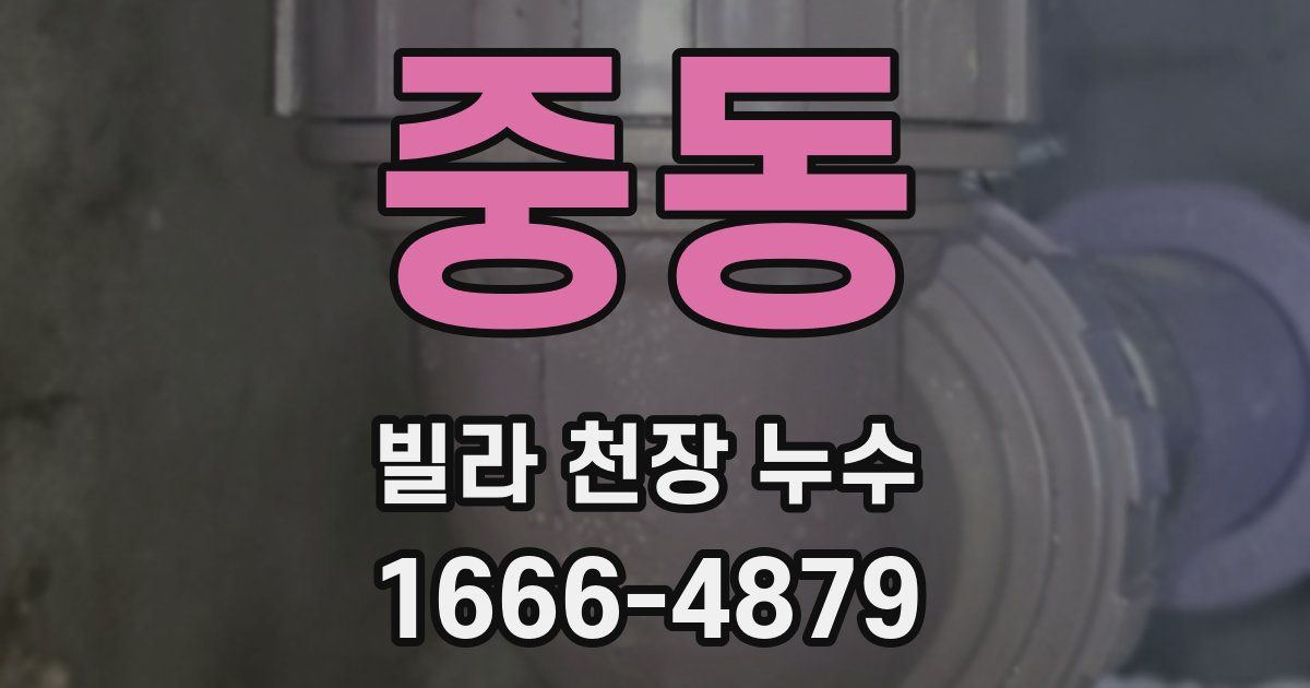 중동 빌라 천장 누수