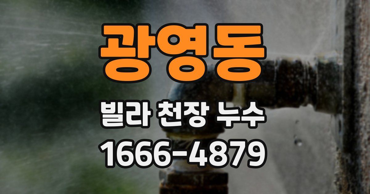 광영동 빌라 천장 누수
