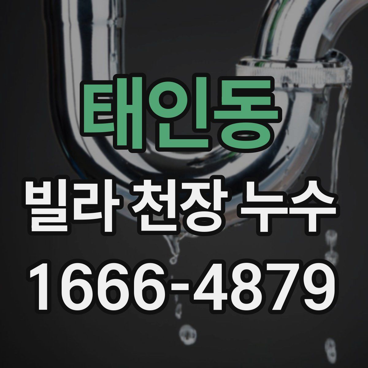태인동 빌라 천장 누수