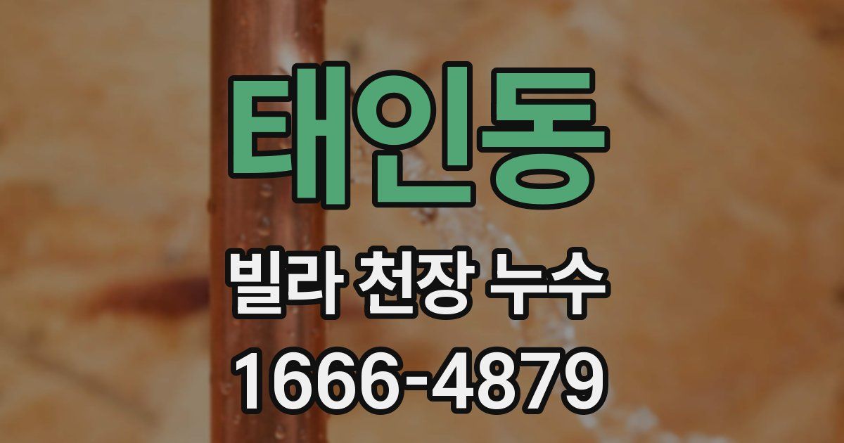 태인동 빌라 천장 누수