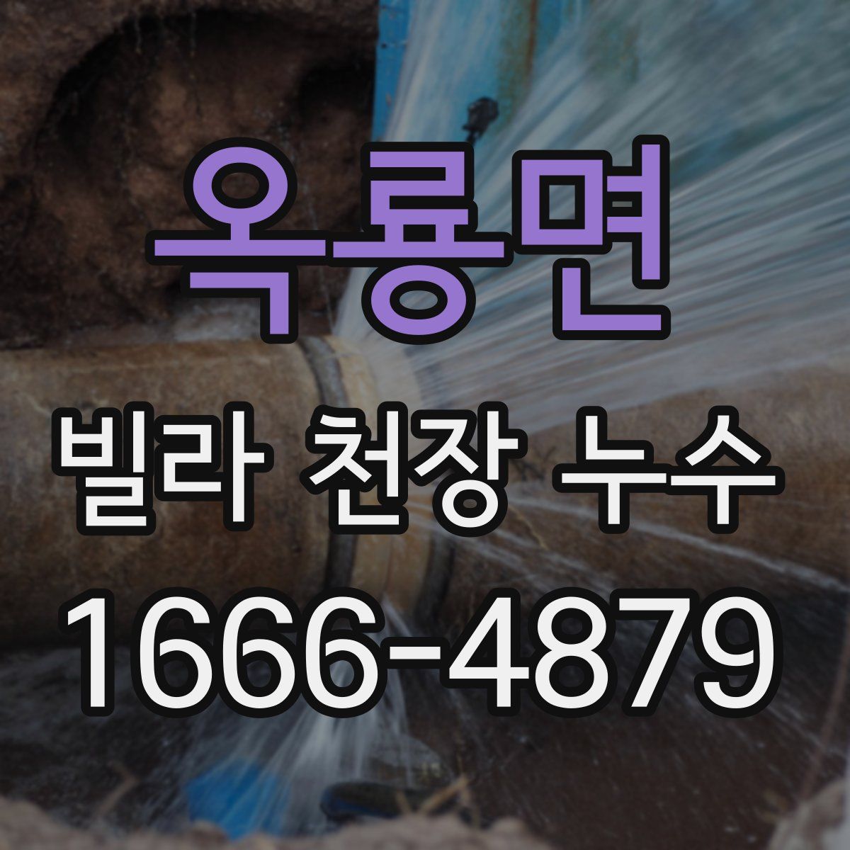 옥룡면 빌라 천장 누수