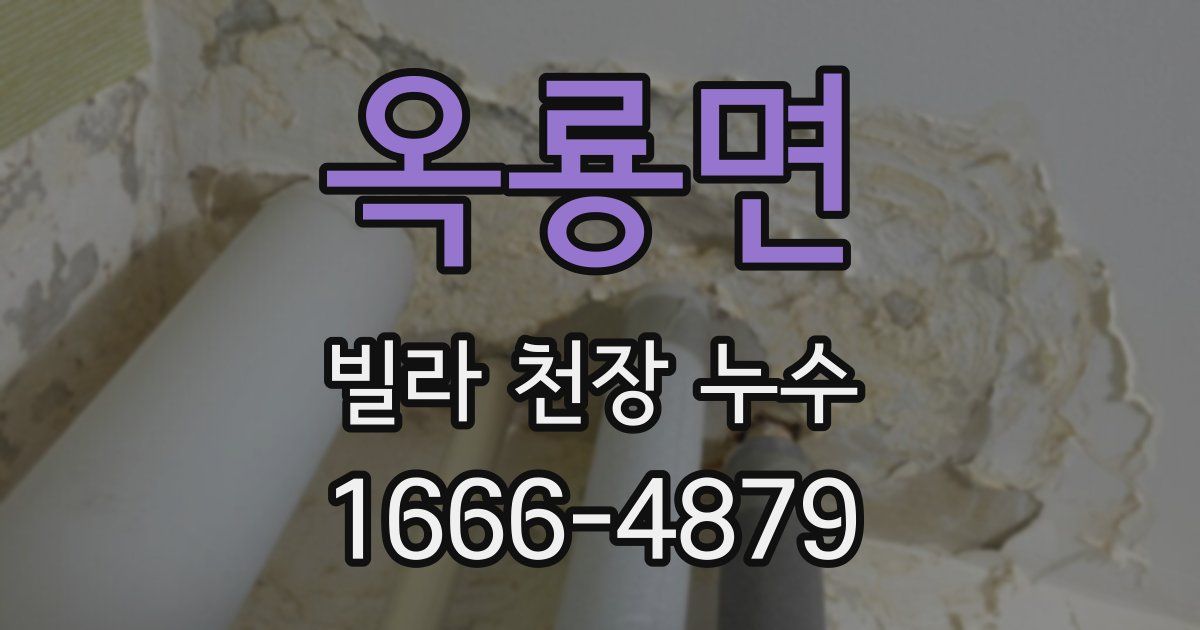 옥룡면 빌라 천장 누수
