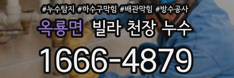 옥룡면 빌라 천장 누수