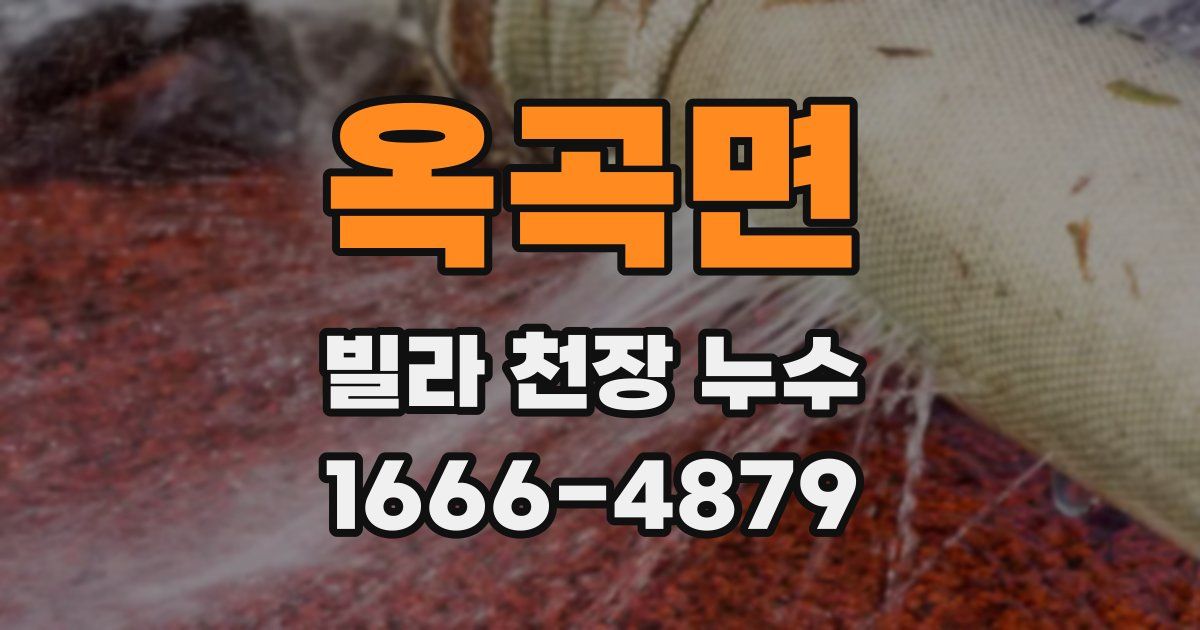 옥곡면 빌라 천장 누수