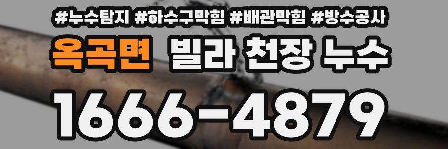 옥곡면 빌라 천장 누수