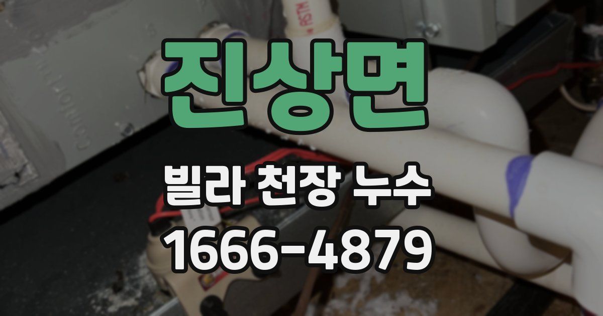 진상면 빌라 천장 누수