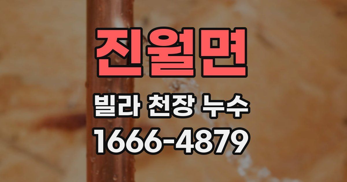 진월면 빌라 천장 누수