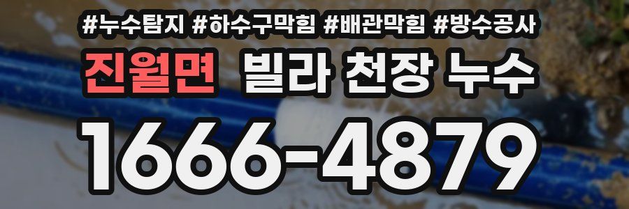 진월면 빌라 천장 누수