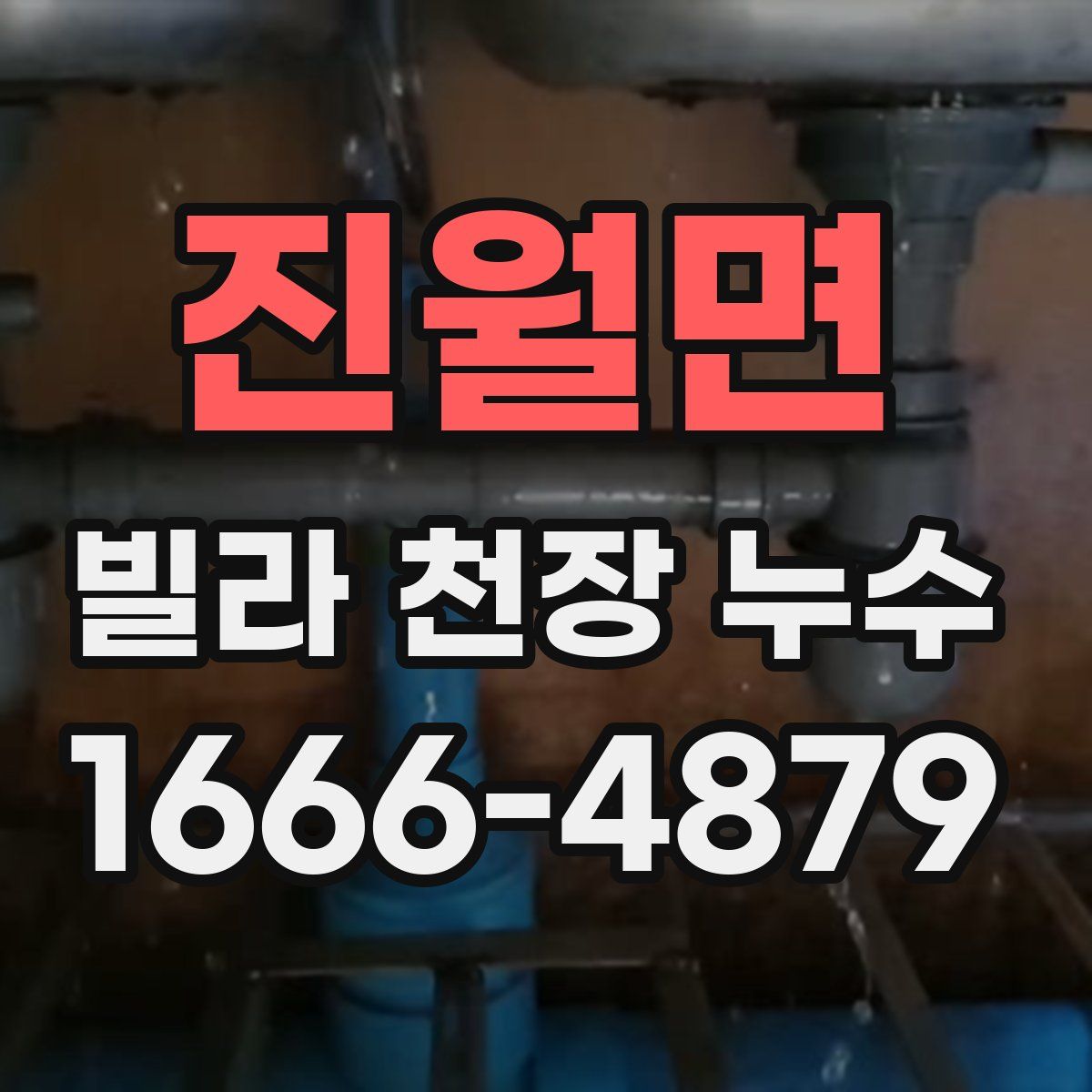진월면 빌라 천장 누수