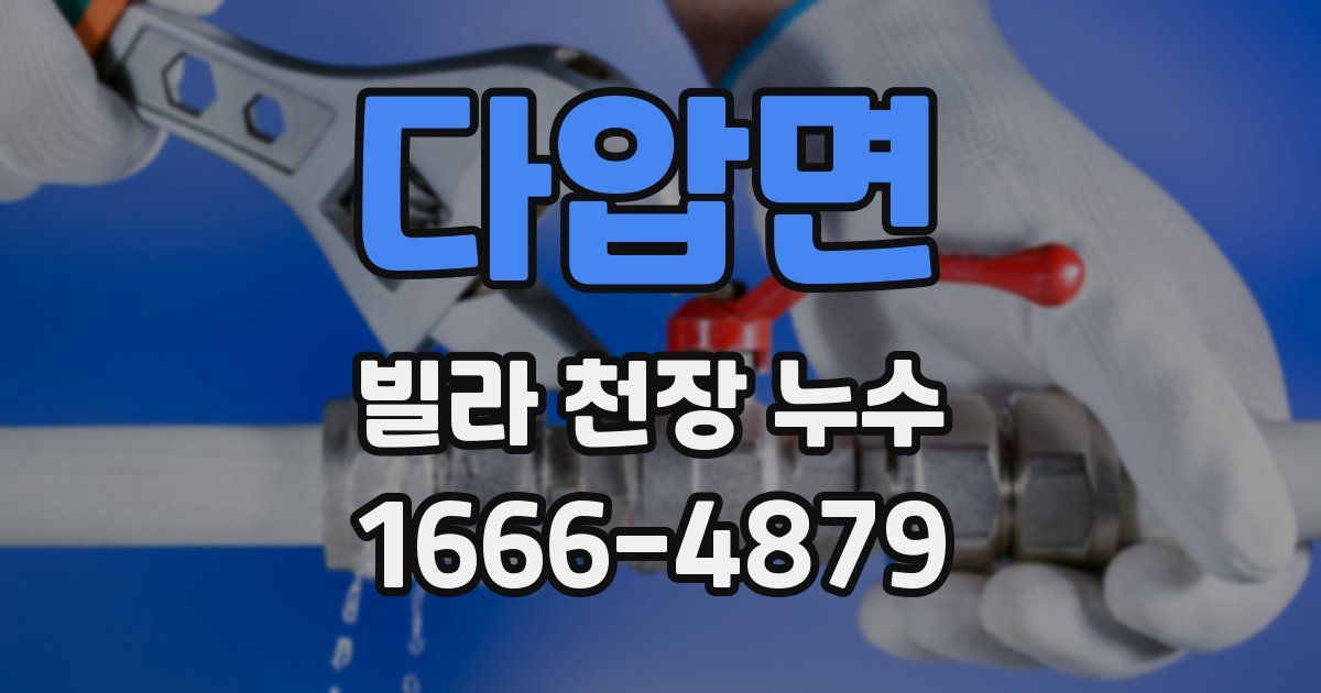 다압면 빌라 천장 누수