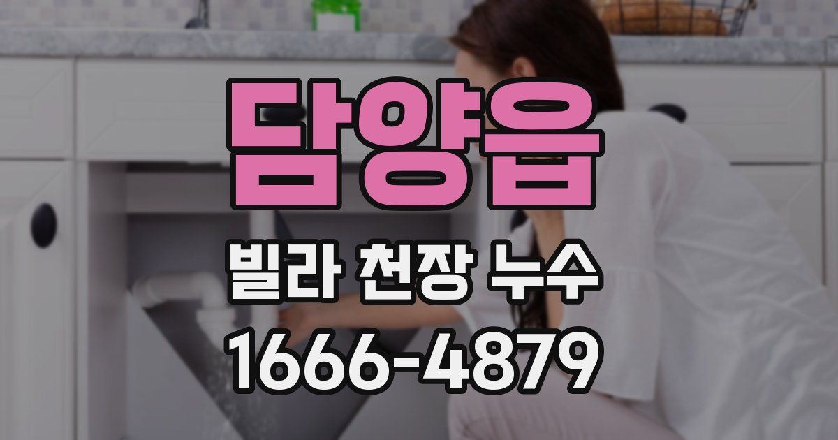 담양읍 빌라 천장 누수