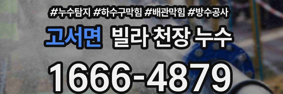 고서면 빌라 천장 누수