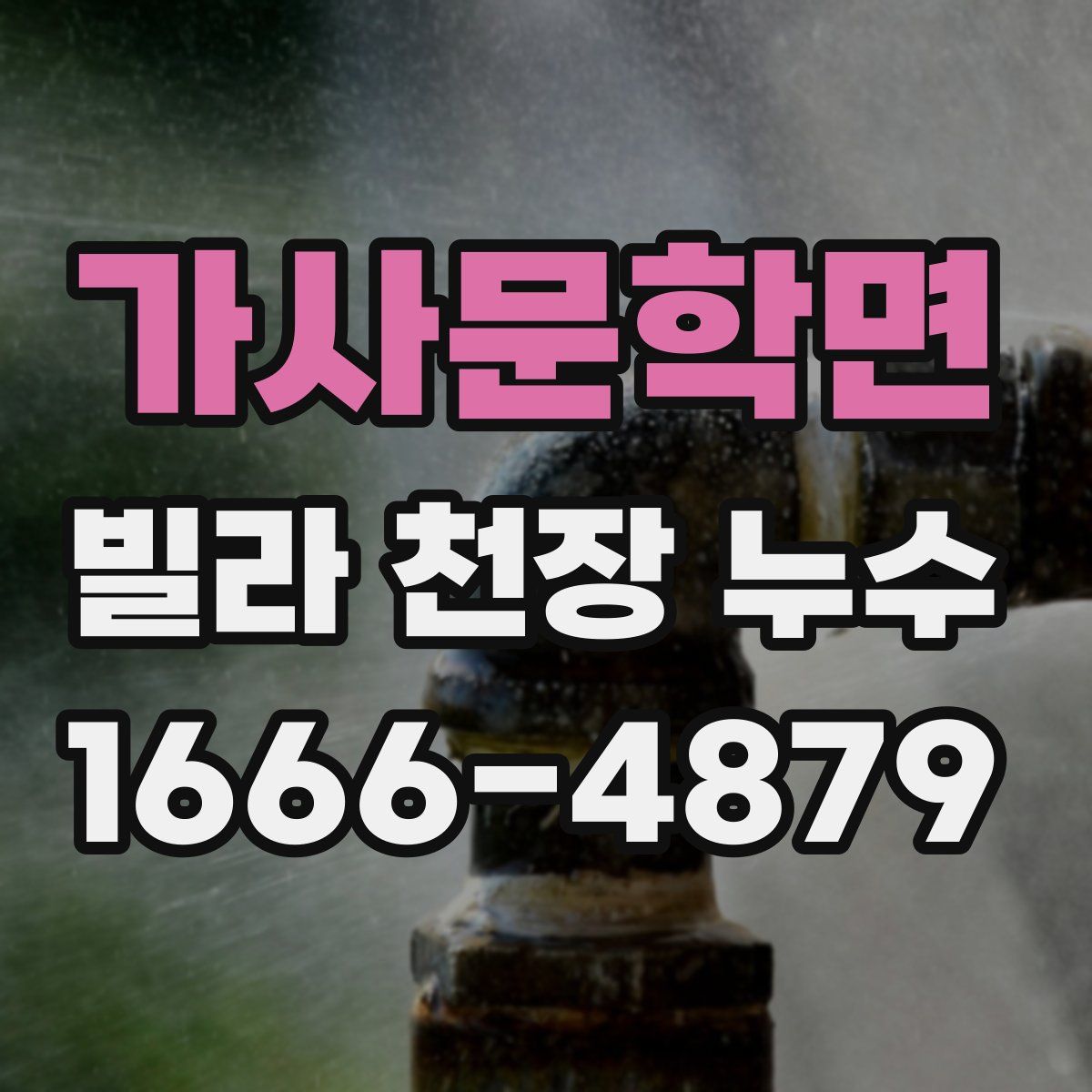 가사문학면 빌라 천장 누수