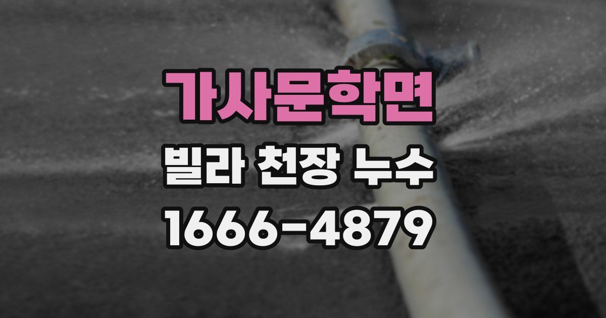가사문학면 빌라 천장 누수