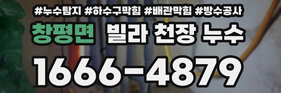 창평면 빌라 천장 누수