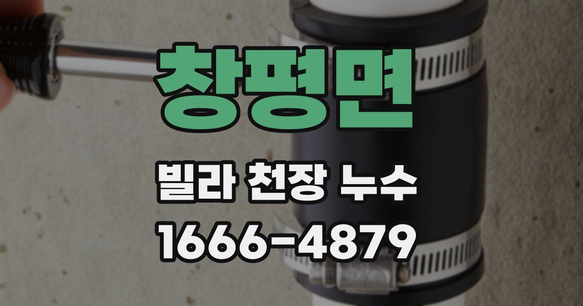 창평면 빌라 천장 누수