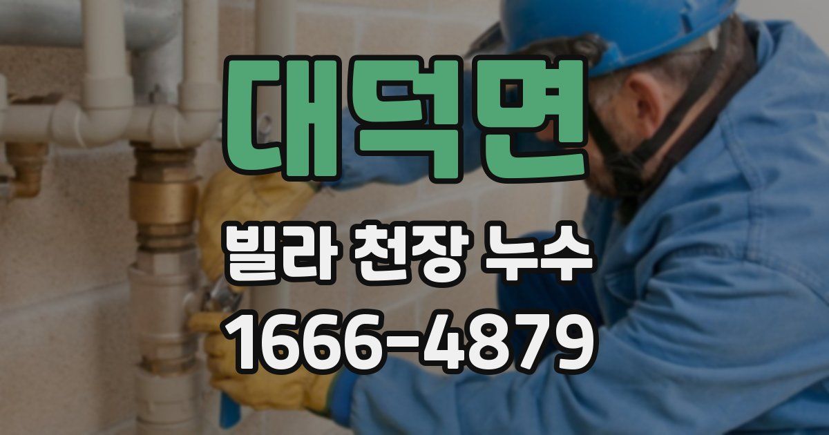 대덕면 빌라 천장 누수